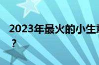 2023年最火的小生意有哪些 目前是什么情况？