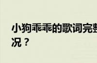 小狗乖乖的歌词完整版是什么 目前是什么情况？