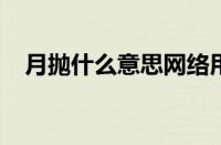 月抛什么意思网络用语 目前是什么情况？