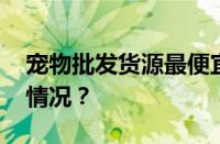 宠物批发货源最便宜地方是哪里 目前是什么情况？