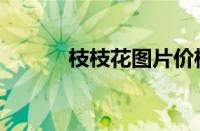 枝枝花图片价格（枝枝花图片）