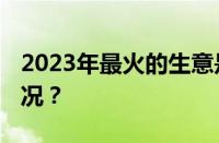 2023年最火的生意是哪个行业 目前是什么情况？