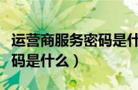 运营商服务密码是什么样子的（运营商服务密码是什么）