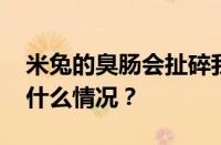 米兔的臭肠会扯碎我的脚布是什么梗 目前是什么情况？