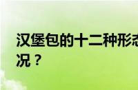 汉堡包的十二种形态是什么梗 目前是什么情况？