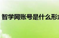 智学网账号是什么形式（智学网账号是什么）