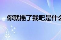 你就摇了我吧是什么梗 目前是什么情况？