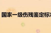 国家一级伤残鉴定标准（一级伤残鉴定标准）