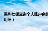 深圳社保查询个人账户余额及明细（深圳社保查询个人账户明细）