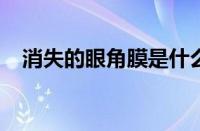 消失的眼角膜是什么梗 目前是什么情况？