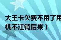 大王卡欠费不用了用不用注销（大王卡欠费停机不注销后果）