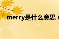 merry是什么意思（merryme什么意思）