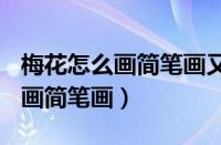 梅花怎么画简笔画又漂亮(铅笔画)（梅花怎么画简笔画）