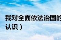 我对全面依法治国的理解（对全面依法治国的认识）