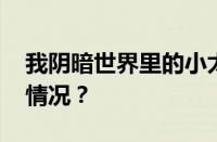 我阴暗世界里的小太阳什么意思 目前是什么情况？