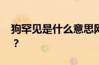 狗罕见是什么意思网络用语 目前是什么情况？