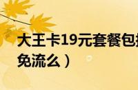 大王卡19元套餐包括什么（大王卡下载软件免流么）