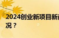 2024创业新项目新商机有哪些 目前是什么情况？