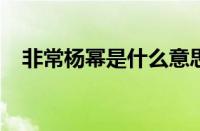 非常杨幂是什么意思梗 目前是什么情况？