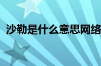 沙勒是什么意思网络用语 目前是什么情况？