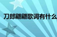 刀郎翩翩歌词有什么寓意 目前是什么情况？