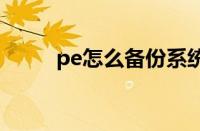 pe怎么备份系统（怎么备份系统）