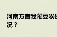 河南方言我嘞豆唉是什么意思 目前是什么情况？