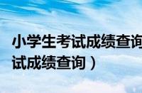 小学生考试成绩查询入口官网查询（小学生考试成绩查询）