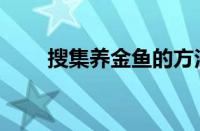 搜集养金鱼的方法（养金鱼的方法）