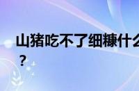 山猪吃不了细糠什么意思呀 目前是什么情况？