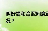 叫好想和合泥间意面什么意思 目前是什么情况？