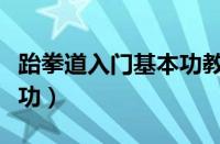 跆拳道入门基本功教学视频（跆拳道入门基本功）