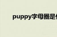 puppy字母圈是什么意思（puppy）