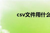 csv文件用什么打开（csv文件）