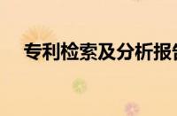 专利检索及分析报告（专利检索及分析）