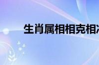 生肖属相相克相冲查询（生肖属相）