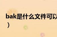 bak是什么文件可以删除吗（bak是什么文件）