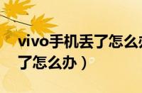 vivo手机丢了怎么办如何找回（vivo手机丢了怎么办）