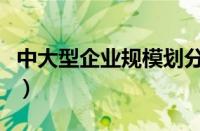 中大型企业规模划分标准（企业规模划分标准）