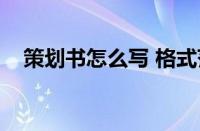 策划书怎么写 格式范文（策划书怎么写）