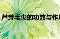 芦芽毛尖的功效与作用（毛尖的功效与作用）