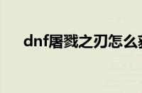 dnf屠戮之刃怎么获得（dnf屠戮之刃）