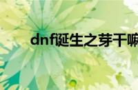 dnf诞生之芽干嘛的（dnf诞生之牙）