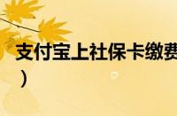 支付宝上社保卡缴费（社会保障卡支付宝缴费）