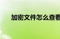 加密文件怎么查看（加密文件怎么看）