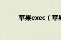 苹果exec（苹果expires怎么填）