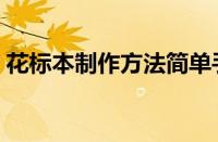 花标本制作方法简单手工（花标本制作方法）