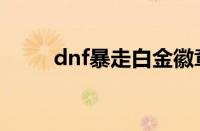 dnf暴走白金徽章打哪（dnf暴走）