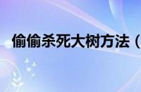 偷偷杀死大树方法（杀死大树简单的办法）