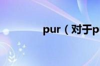 pur（对于pur的情况介绍）